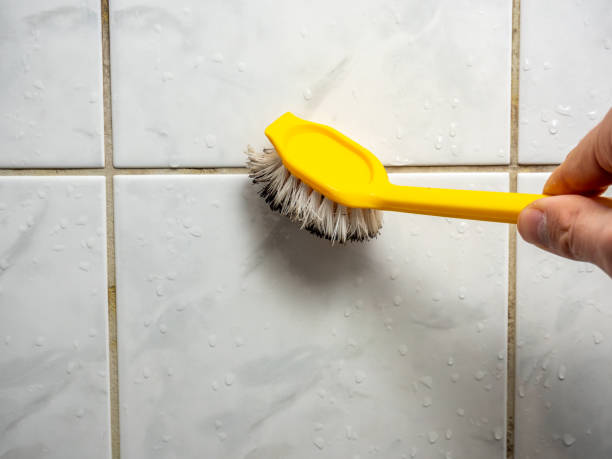 Best Home Mold Removal  in Ste Genevieve, MO