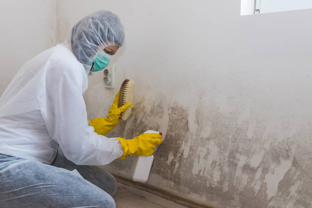 Crawl Space Mold Removal in Ste Genevieve, MO