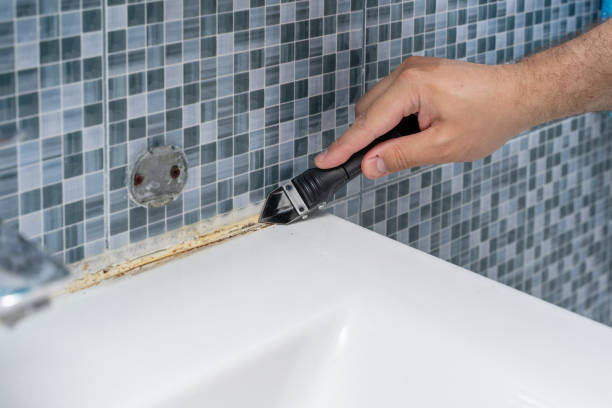 Best Mold Damage Repair  in Ste Genevieve, MO